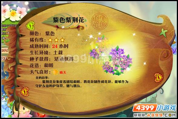 小花仙紫荆花 紫荆花花种