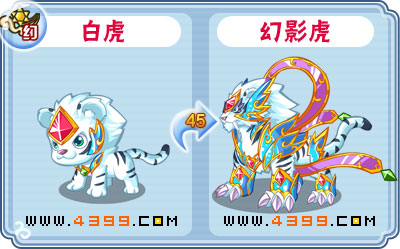 卡布西游幻影虎刷什么 练级