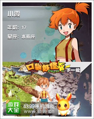 口袋妖怪3D版