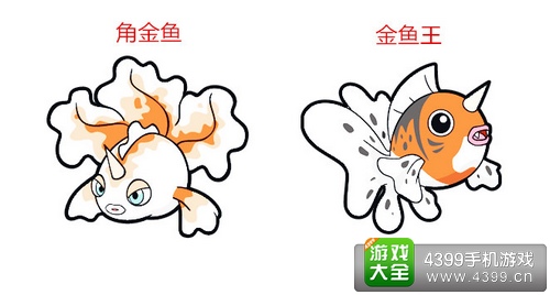 口袋妖怪3D角金鱼进化