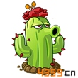 植物大战僵尸全明星仙人掌图鉴