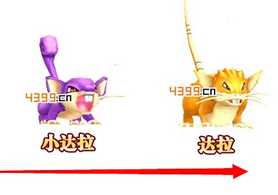口袋妖怪3D小拉达进化