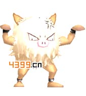 口袋妖怪3D火爆猴图鉴