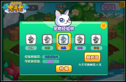 龙斗士怎么种植宠物经验最划算