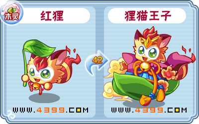 卡布西游狸猫王子刷什么 练级
