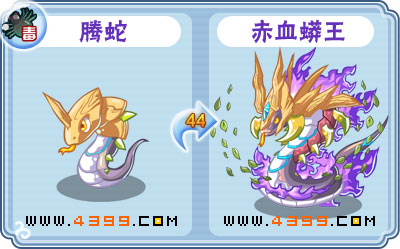 卡布西游赤血蟒王刷什么 练级