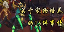 暗黑地下城宠物培养15条须知 关于宠物培养的秘密