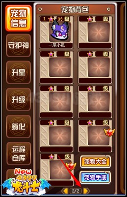 龙斗士刚获得的宠物放在哪里