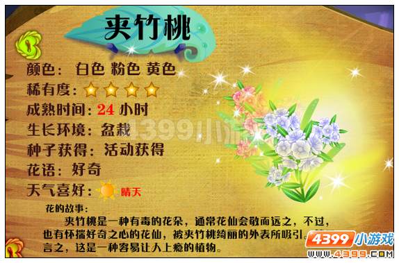 小花仙夹竹桃