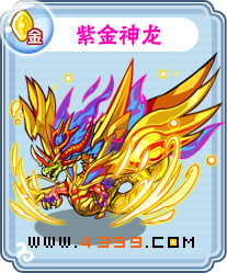卡布西游紫金神龙刷什么 练级