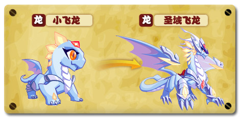 热血精灵派圣域飞龙