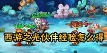 西游之光伙伴经验怎么获得 伙伴怎么升级