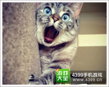谷歌