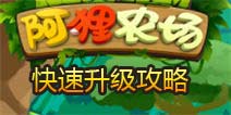 阿狸农场怎么升级 快速升级攻略