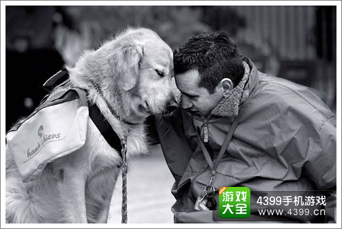4399感恩节