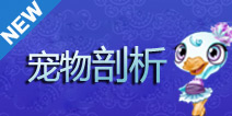 功夫宠物深度剖析 换个角度看宠物