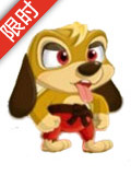 功夫宠物空手道獒犬