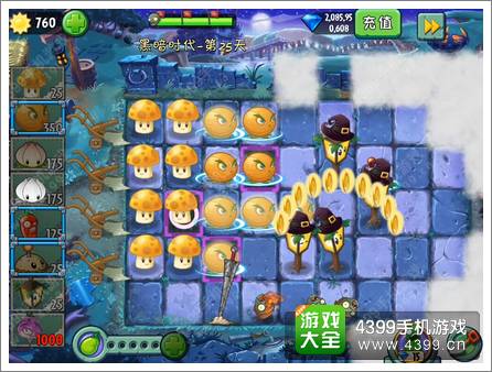 植物大战僵尸2黑暗时代第25关攻略 迷雾下的柚子