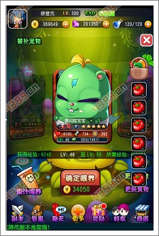 萌宠学园宠物房攻略