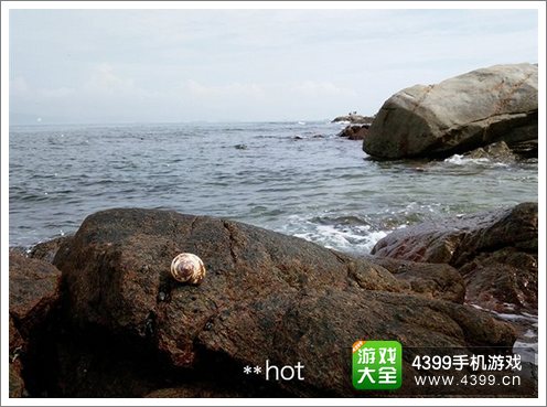 样张