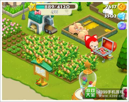 阿狸农场玉米种植攻略