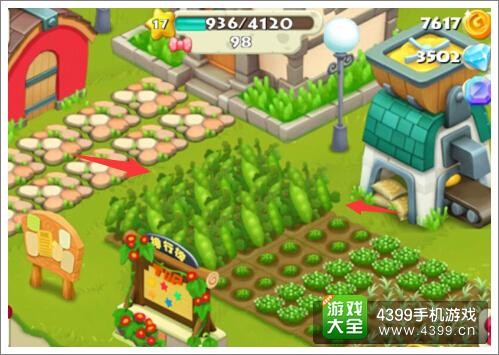 阿狸农场豌豆种植攻略