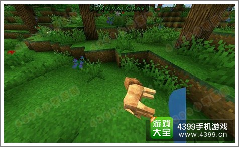 生存战争怎么补血