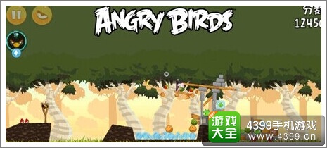 愤怒的小鸟之鸟群最爱