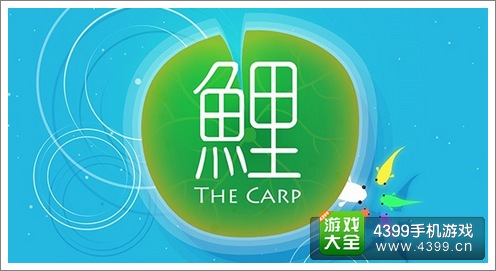 鲤