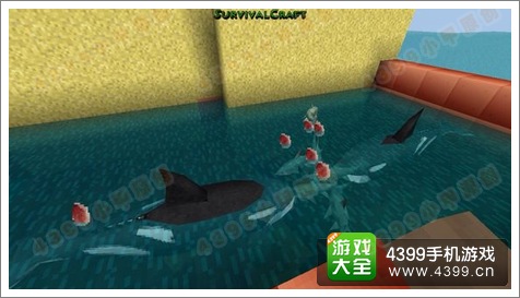 生存战争鲸鱼怎么抓