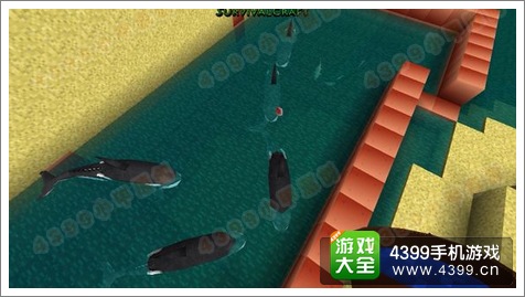 生存战争抓鲸鱼技巧
