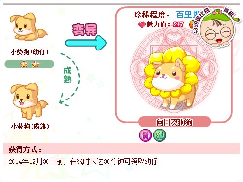 奥比岛向日葵狗狗怎么得 在哪得