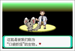 口袋妖怪漆黑魅影一周目通关攻略