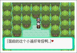 口袋妖怪漆黑魅影一周目通关攻略
