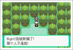 口袋妖怪漆黑魅影一周目通关攻略