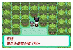 口袋妖怪漆黑魅影一周目通关攻略