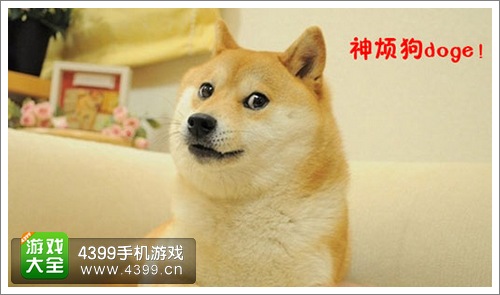 剑仙缘宠物