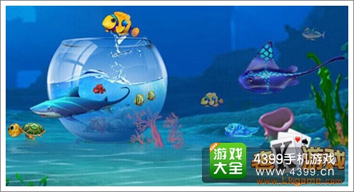 清新养鱼池