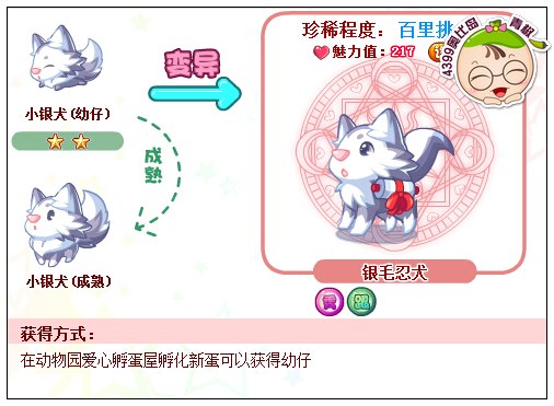 奥比岛银毛忍犬怎么得 在哪得