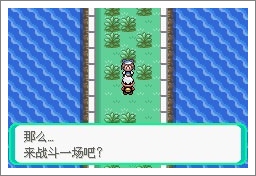 口袋妖怪漆黑魅影一周目通关攻略