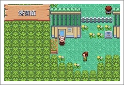 口袋妖怪漆黑魅影一周目通关攻略