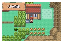 口袋妖怪漆黑魅影一周目通关攻略