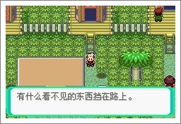 口袋妖怪漆黑魅影一周目通关攻略