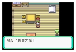 口袋妖怪漆黑魅影一周目通关攻略