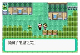 口袋妖怪漆黑魅影一周目通关攻略
