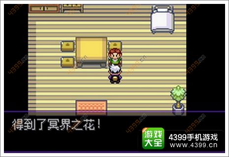 口袋妖怪感恩之花
