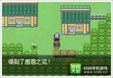 口袋妖怪感恩之花