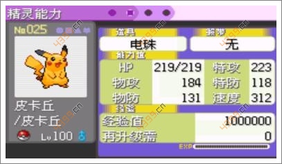 口袋妖怪漆黑的魅影皮卡丘
