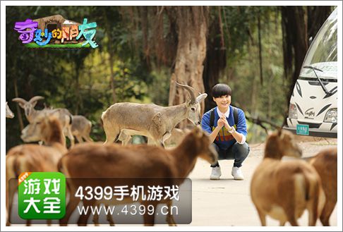 奇妙的朋友