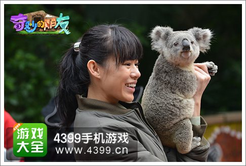 奇妙的朋友手游